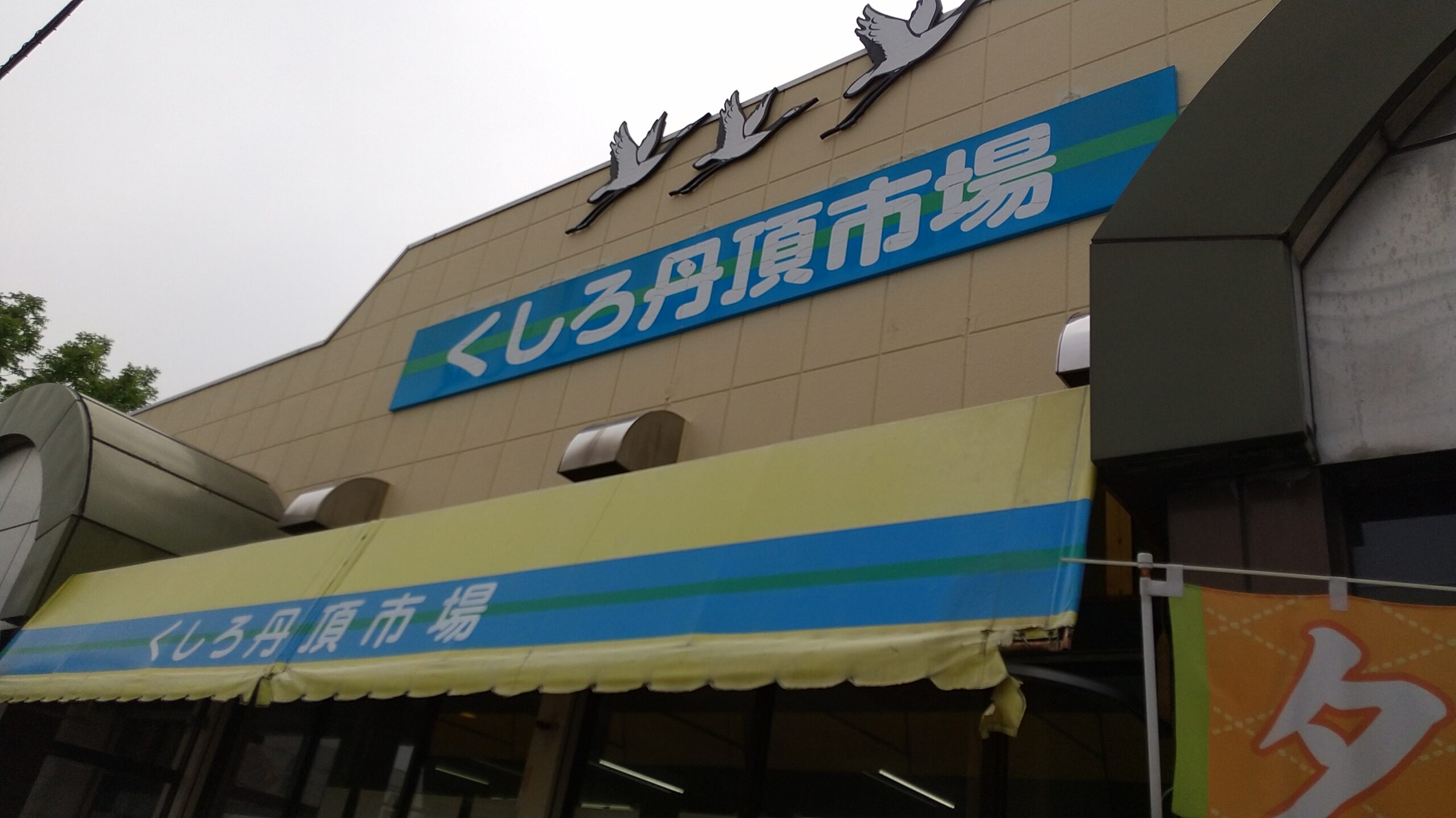 丹頂市場