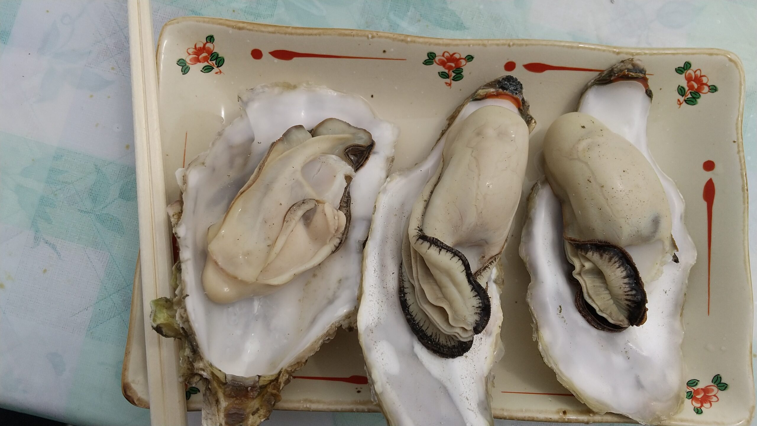 琵琶瀬展望台