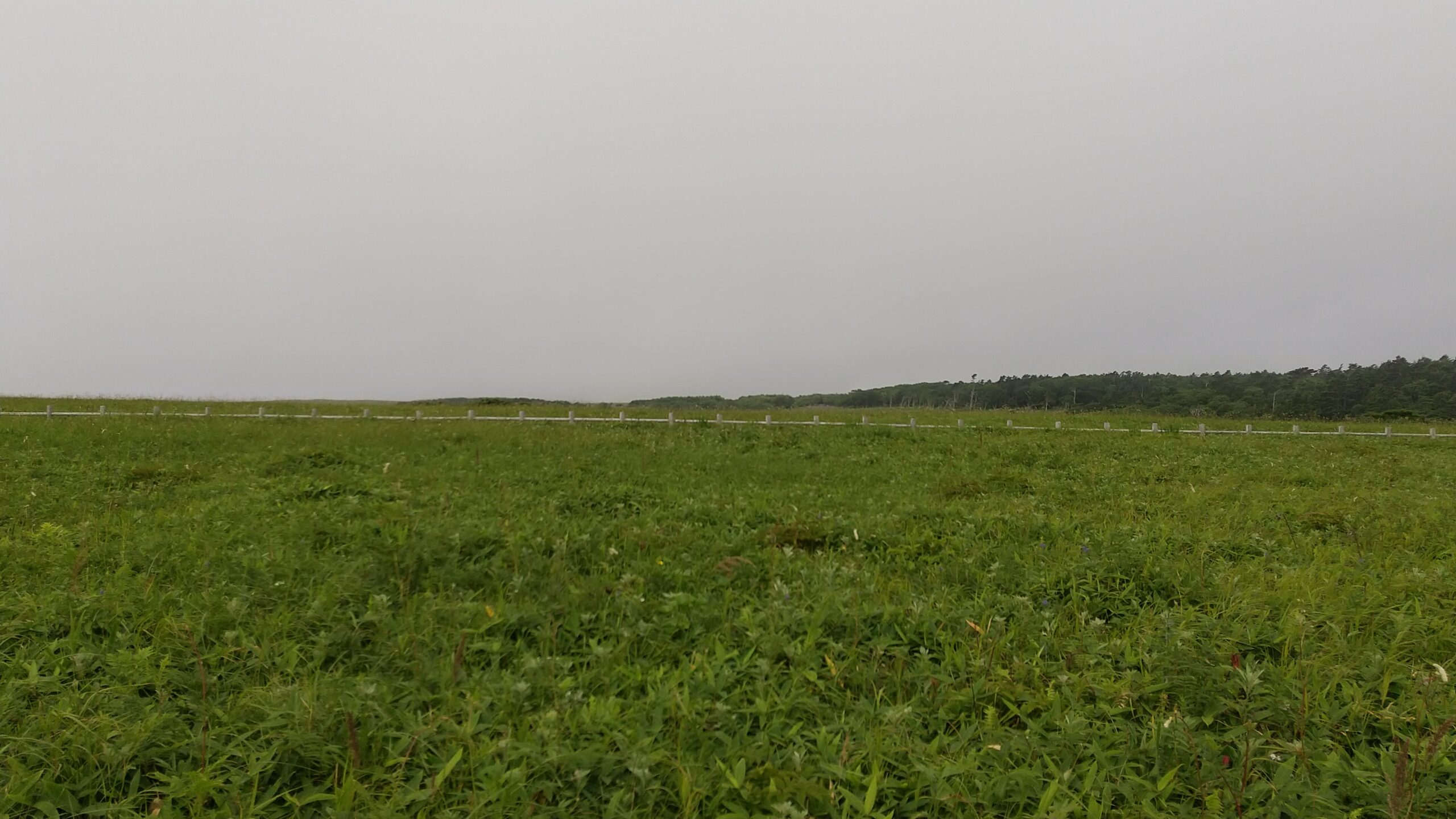涙岬