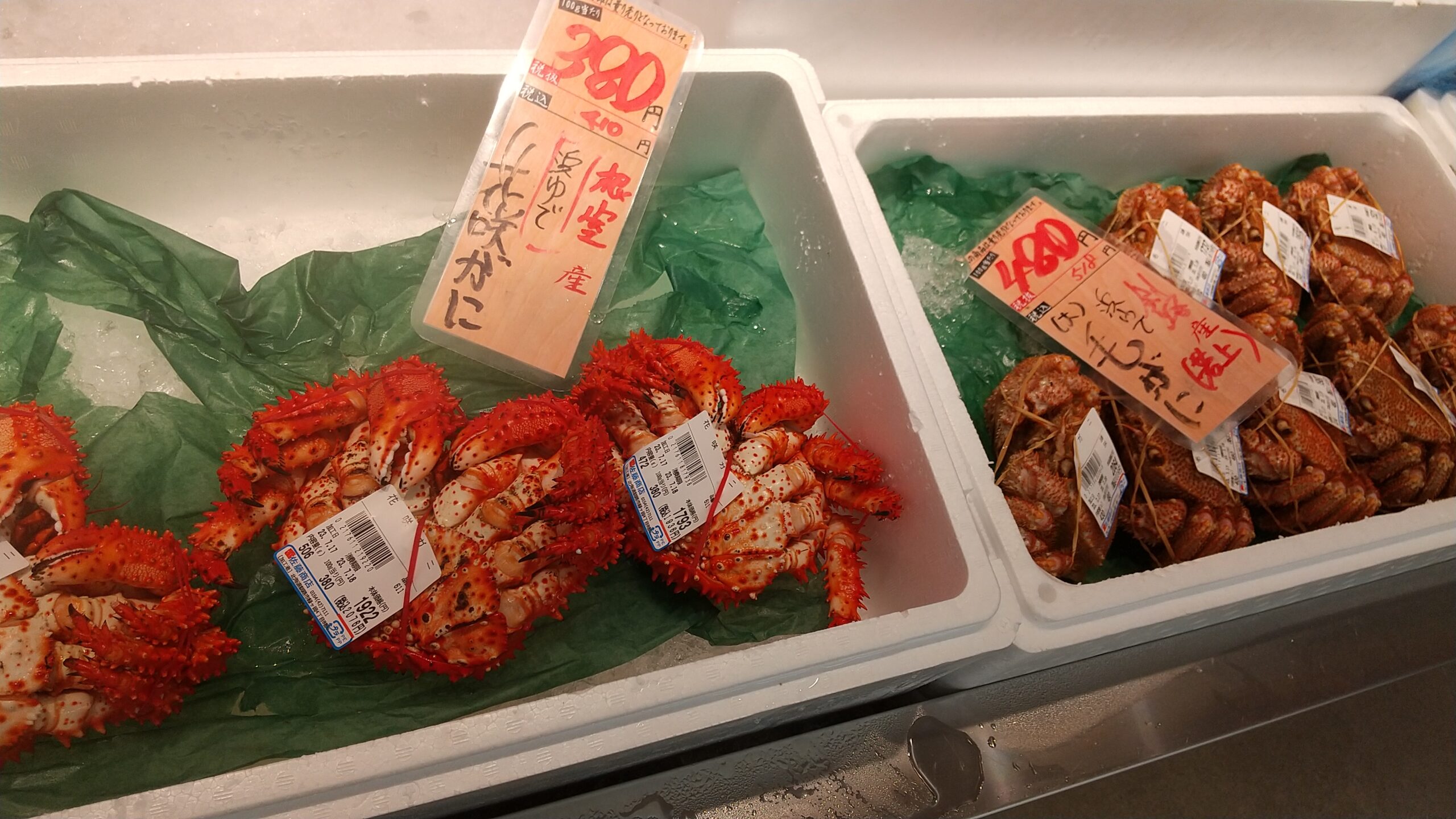 雷さとう