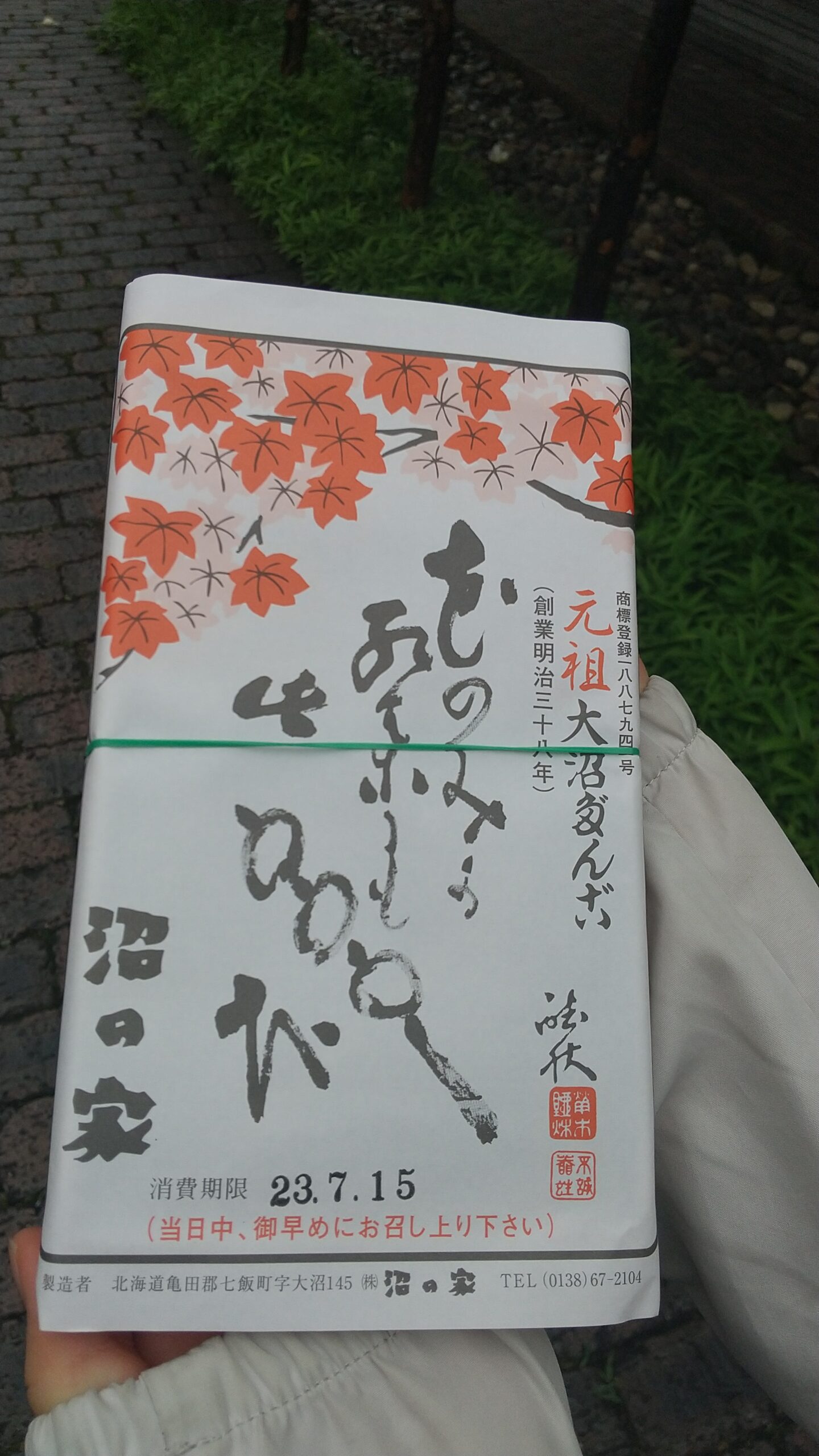 大沼国定公園