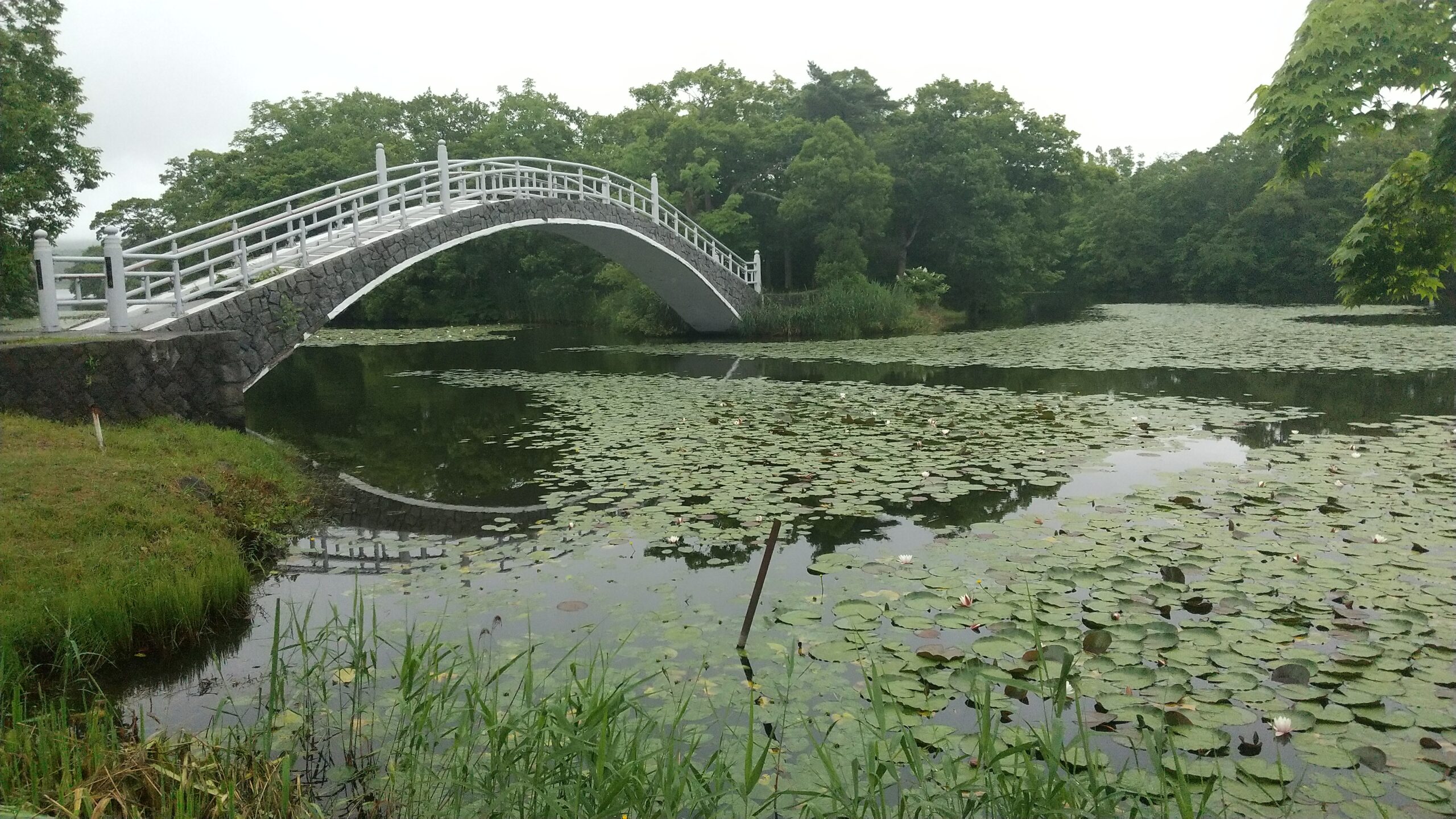 大沼国定公園