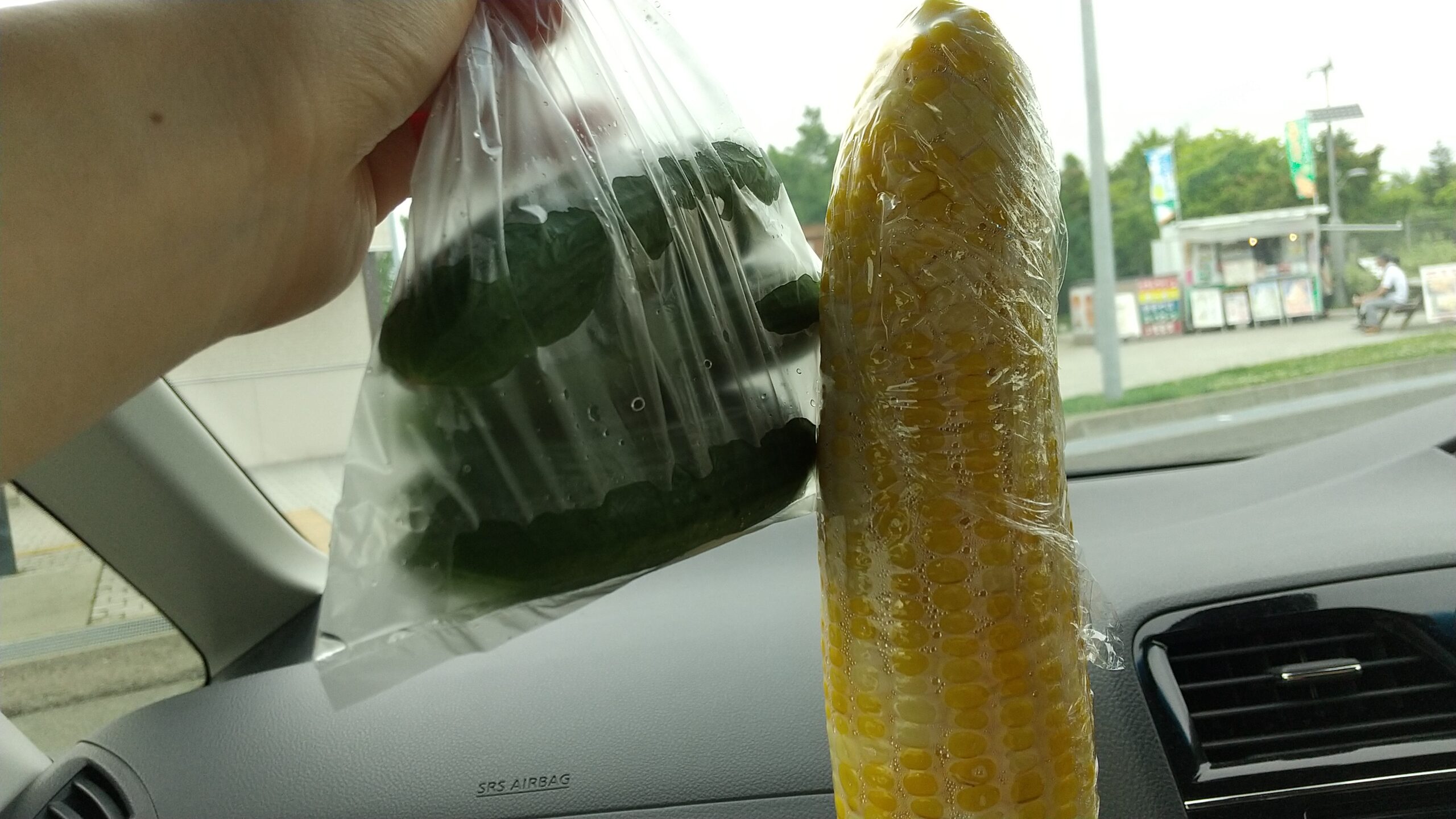 釧路までの高速SAPA
